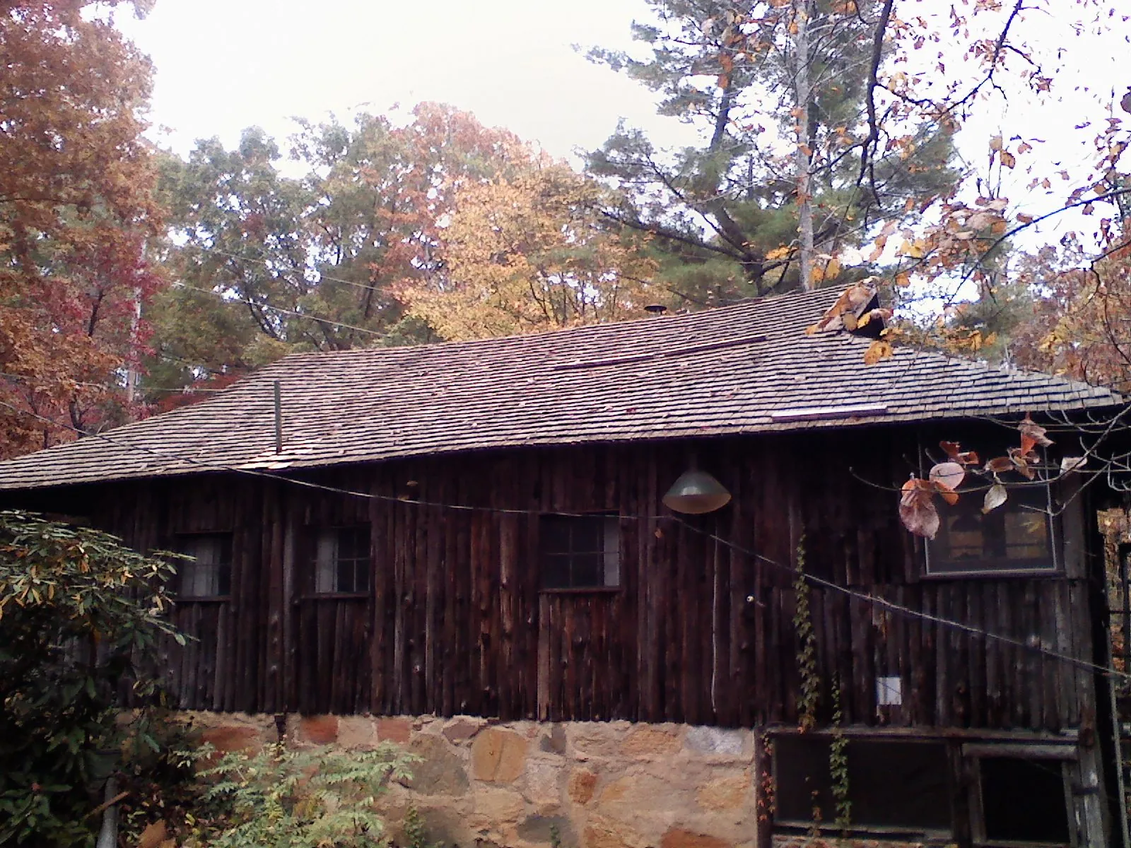 Weathered wood shake roof on a rustic board sided cabin in Hamilton